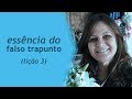 Vídeo 237 de #365 Vídeos de Quilting - Essência do Falso Trapunto (lição 3 - Falso Trapunto)