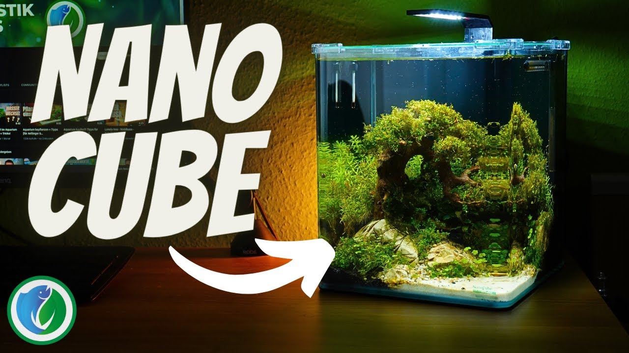 Erschaffe ein Aquarien-Paradies in nur 5 Schritten! - Nano Cube von Dennerle einrichten