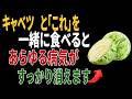 キャベツと一緒に食べれば薬より良い食材3つ!秘伝レシピ2選と相性の悪い食材まで完全解説|高齢者の健康