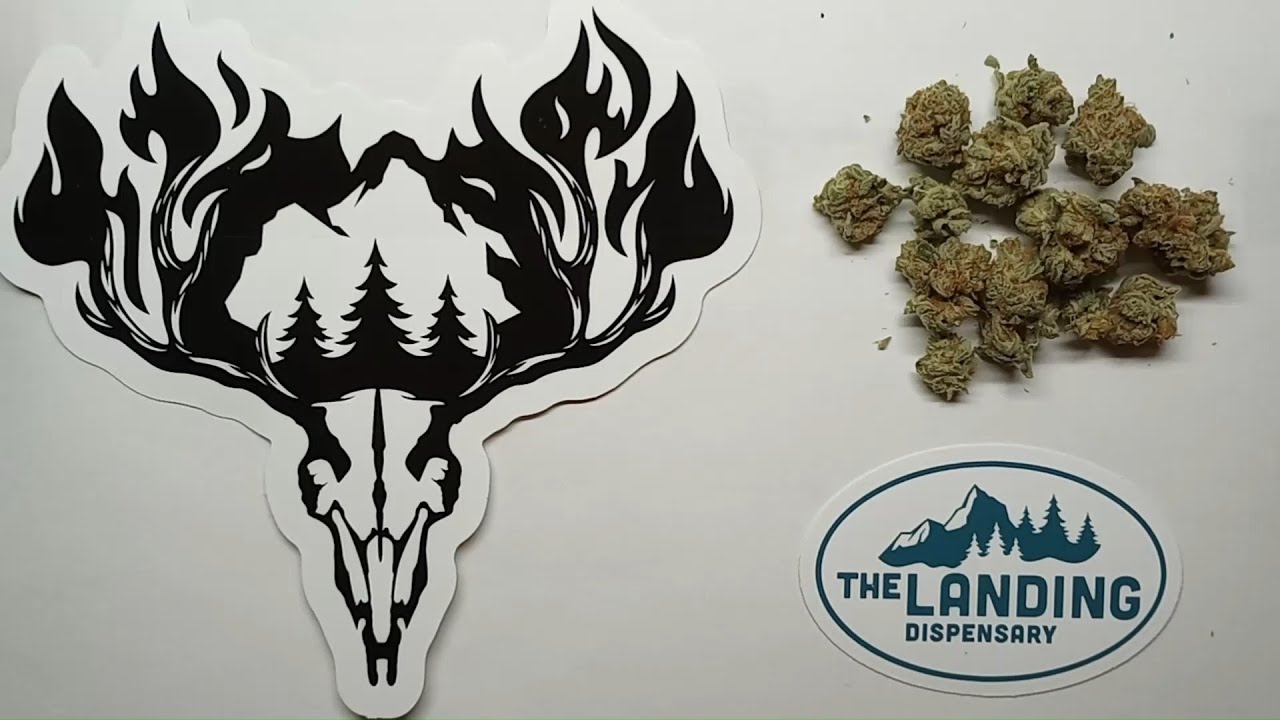 Hillfire Katana Kush Flower Review