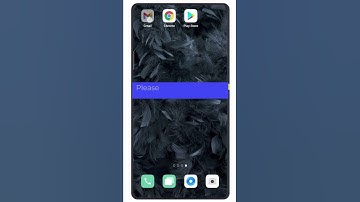 P2PAL direct bank in video guide PHP