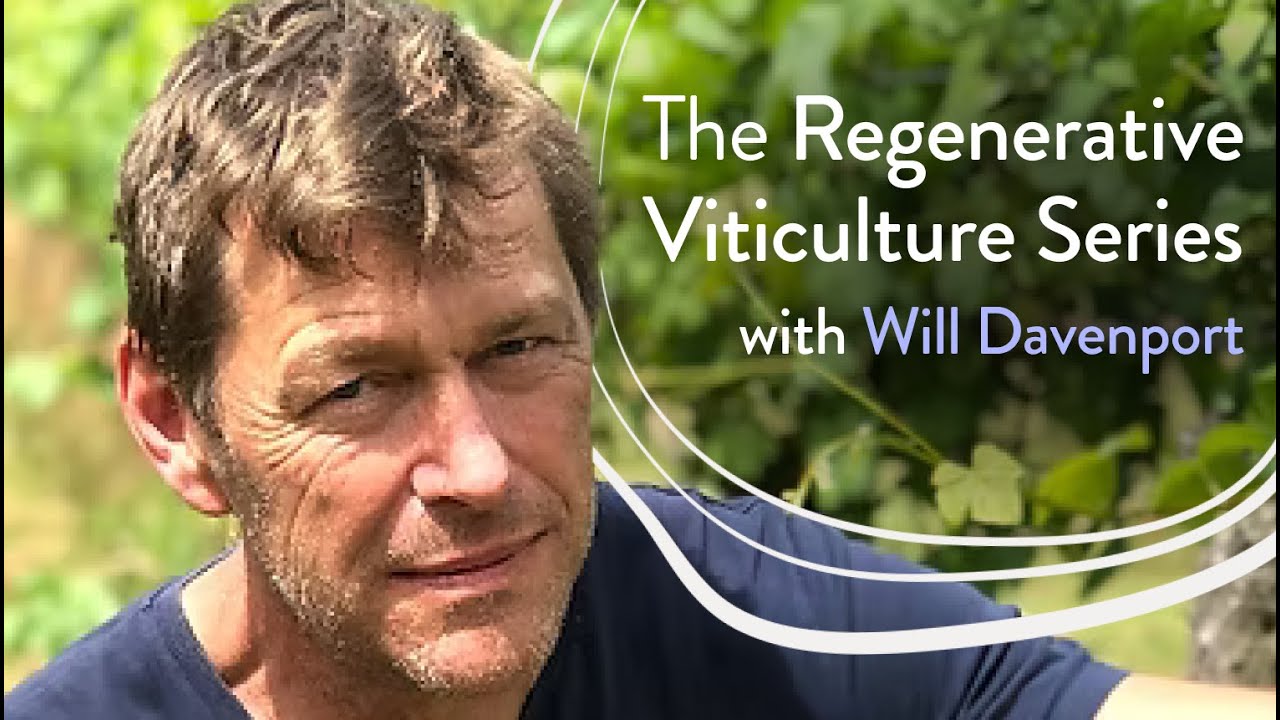 Will Davenport: How to Convert a Vineyard to Regenerative and See Immediate Profitability