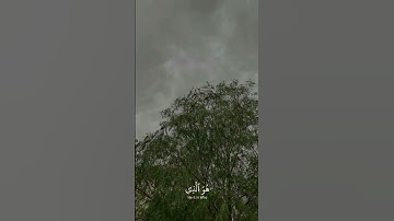 سبحان الله وبحمده 🤍 ياسر الدوسري/ ما تيسر من سورة الاحزاب