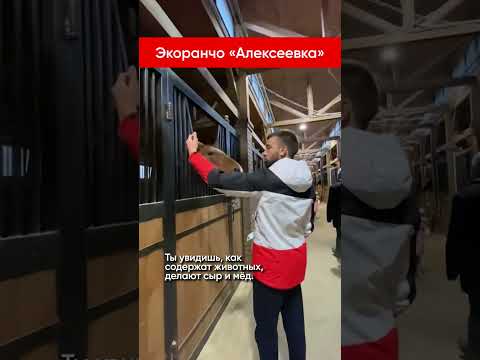 Исследуем деревню вместе! Подборка эко ферм. | Подписывайся!