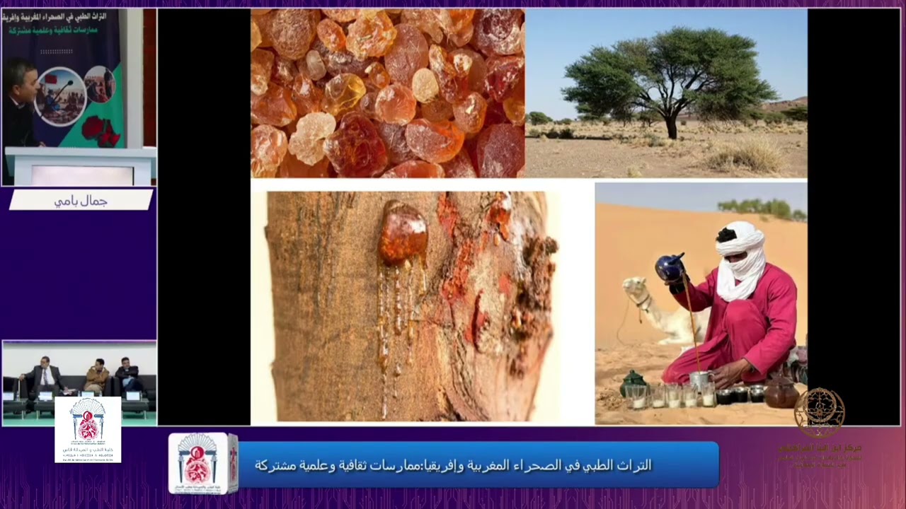 الأستاذ د. جمال بامي: المادة الطبية في الصحراء المغربية بين التراث العلمي والعلاج التقليدي