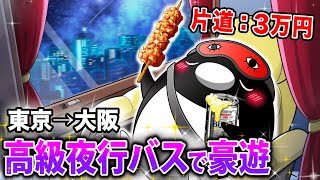 【東京→大阪間】高級夜行バスで贅沢日帰り旅行してみた【アニメ】