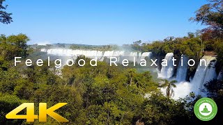 Magic Iguazu Falls in Brasilias rain forest 10 hours 4K