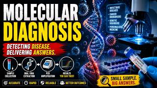 🧬🔬 Molecular Diagnosis | Detecting Disease at the Genetic Level ⚡💊