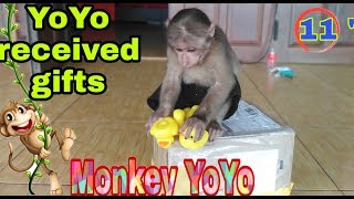 Monkey Yoyo received a gift Ms Kim Nhung | Monkey Baby Yoyo |
