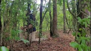 Stardust Testing In A Wooded Area