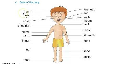 Class 4 PSEB Rainbow-4 (English book)- Lesson 1: The King and His Sons  (Part -1)