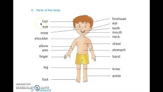 Class 4 PSEB Rainbow-4 (English book)- Lesson 1: The King and His Sons  (Part -1)