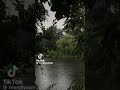 2 Hours of Perfect Sleep Sounds🌧️  Rain, Ocean &amp; Nature (No Music)🍃