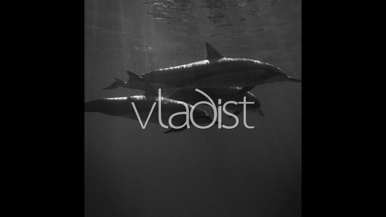 YouTubeでVLADIST - Cold Frames (Slowed x Reverb)を視聴 YouTubeでVLADIST - Cold Frames (Slowed x Reverb)を視聴