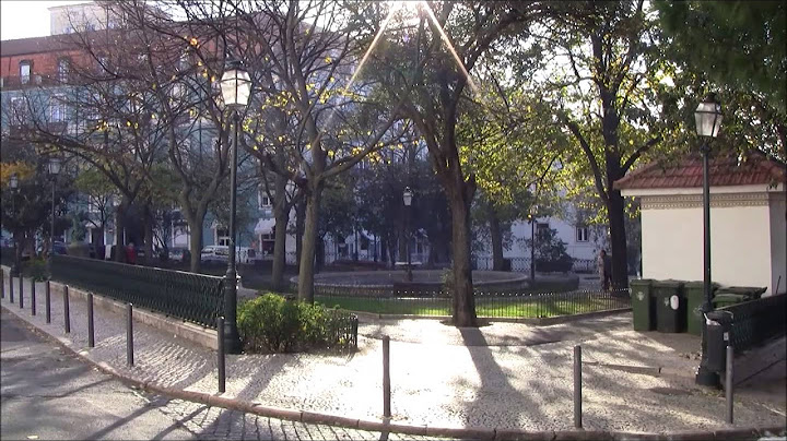 100 anos da Escola Gil Vicente - Ruben Almeida