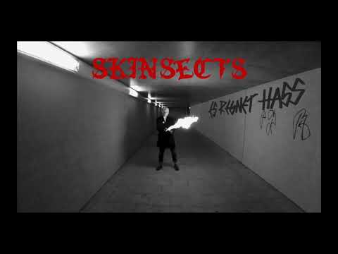 Skinsects - "Es Regnet Hass"