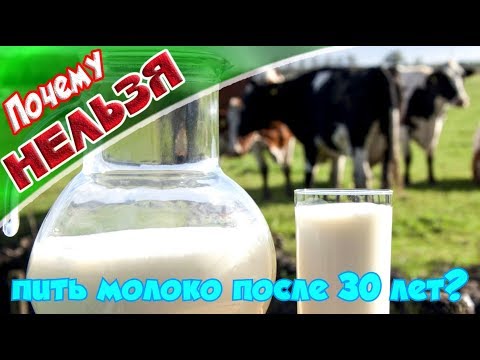 ➤Почему нельзя пить молоко после 30 лет?➤