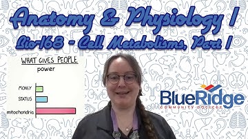 BIO-168: Cellular Metabolism - Chapter 4, Part 1