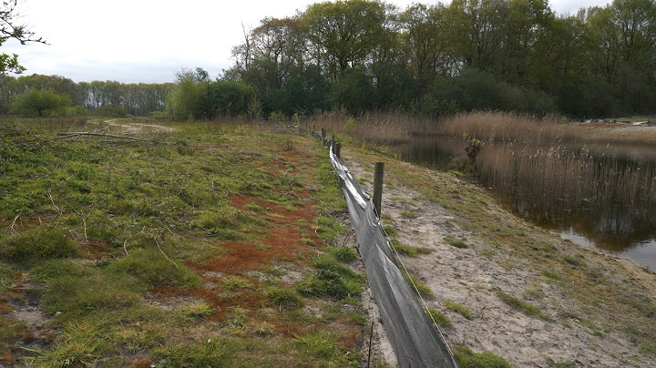 De Kaaistoep en de geheimzinnige gravers.