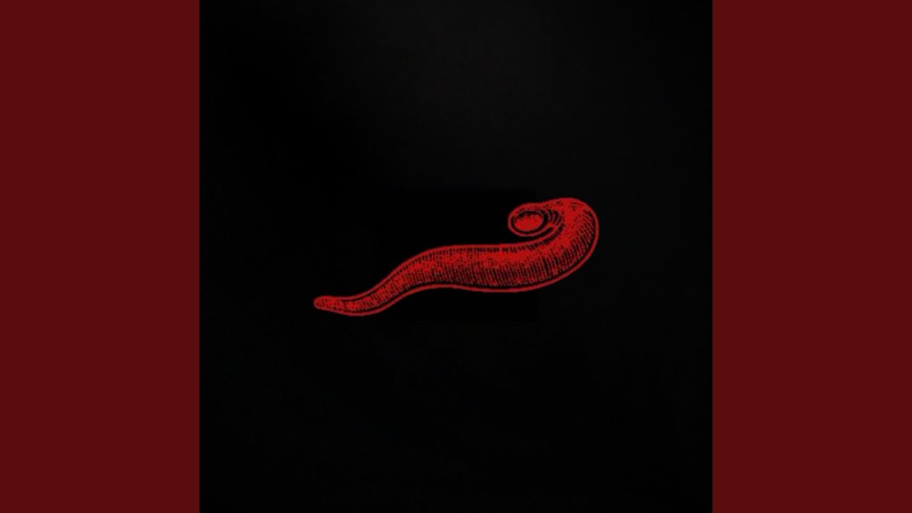Watch Parasite on YouTube Watch Parasite on YouTube
