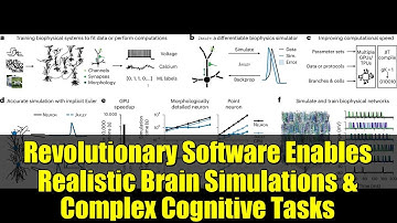 Revolutionary Software Enables Realistic Brain Simulations & Complex Cognitive Tasks