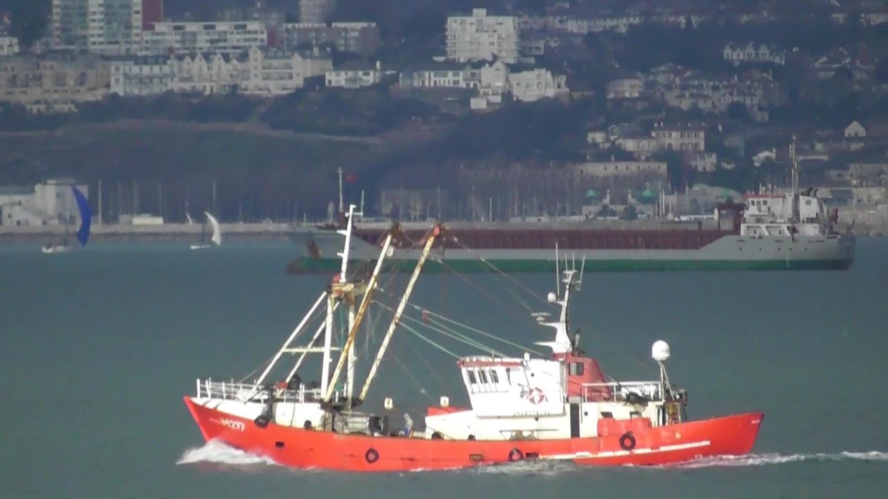 Bear's Bites 01/01/2026 Part 4 of 4