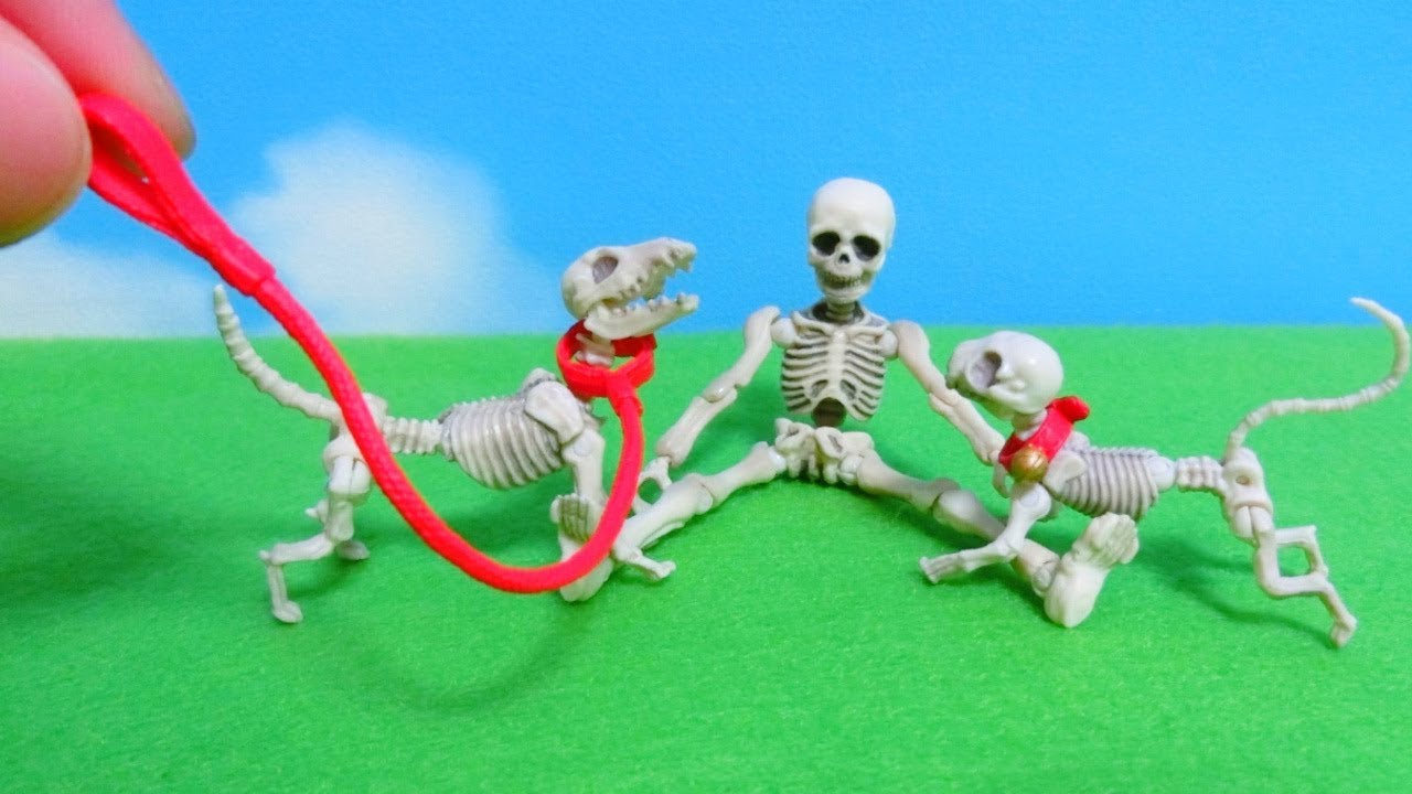 re ment skeleton