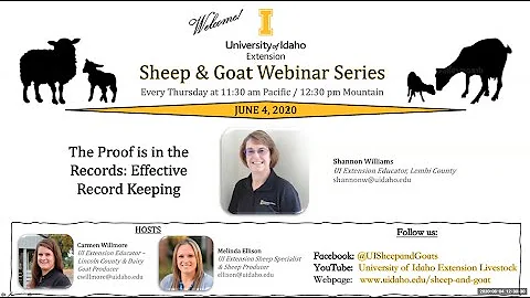 The Proof is in the Records: Effective Record Keeping for Sheep and Goats (UI Extension Sheep & Goat