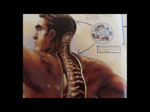 dc-comics:-the-anatomy-of-a-metahuman-(intro,-superman,-cheetah)