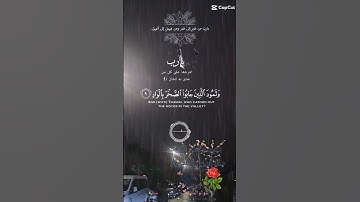 تلاوة خاشعة عطرة مباركة للشيخ سعد الغامدي ماتيسر من سورة الفجر