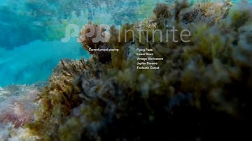 PPG Infinite :: Rauschwerk Factory Presets