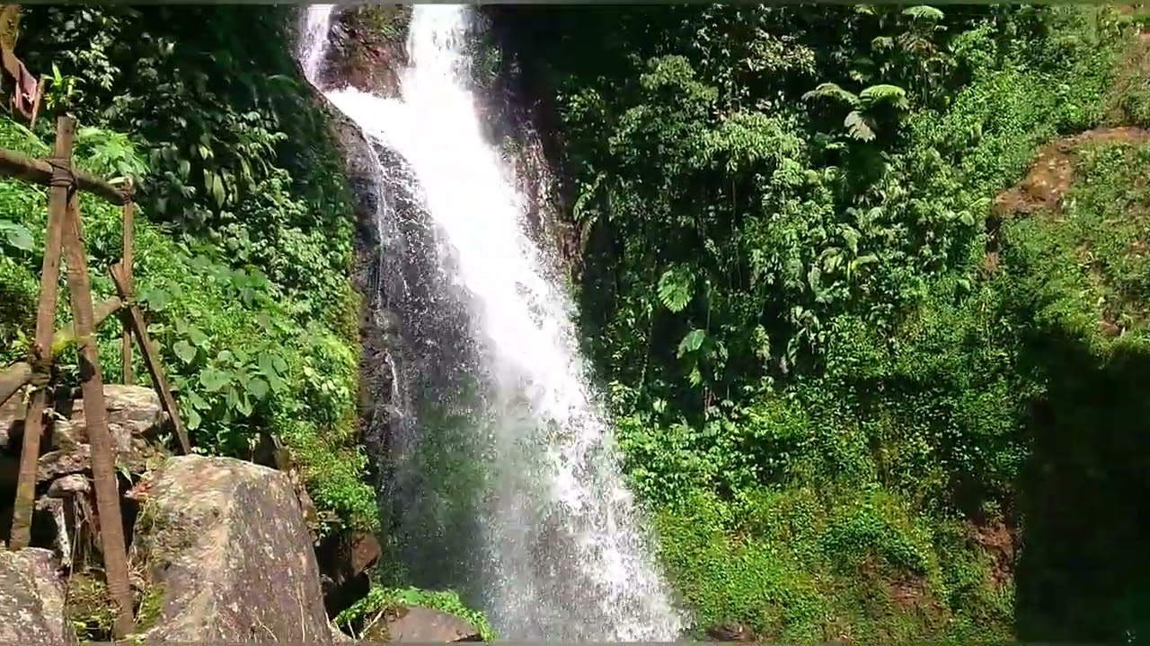 Surga Alam Dunia - RTE Musik