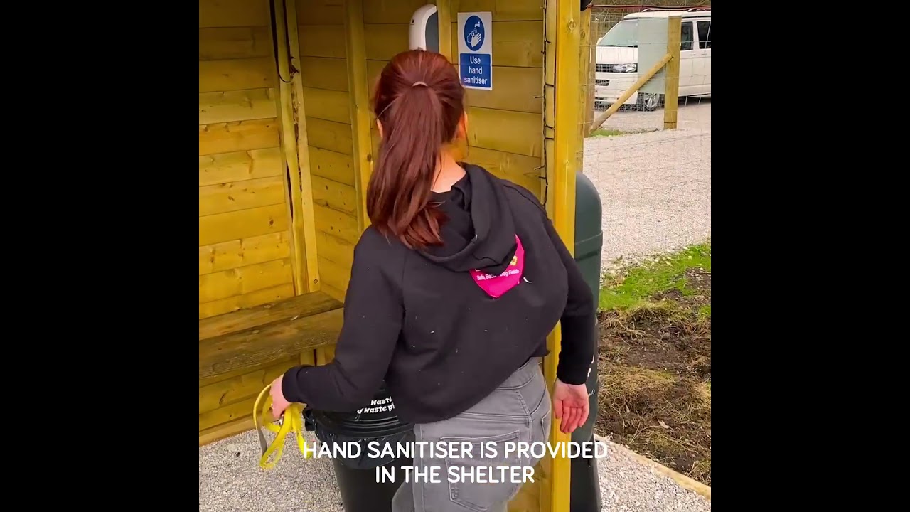 Release The Dogs:  How it works