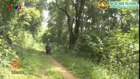 Cùng khám phá khu rừng quốc gia Bù Gia Mập kỳ thú