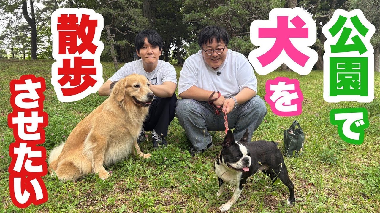 始めてのレンタルドッグで癒されたい