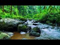 🌿 Peaceful Stream Sounds for Deep Sleep and Calm Mind Audio 💤