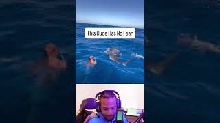 “He Lured a Shark and Then Did WHAT?! 😳🦈” #Shark #CrazyVideos #Wildlife #Ocean #Insane