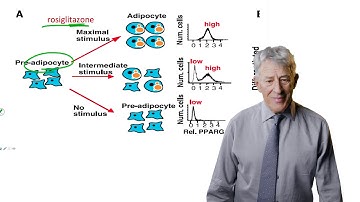 12.3  Bifurcation as Qualitative Change
