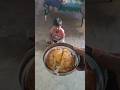 boiled egg omlette టేస్ట్ మాత్రం అదిరింది 😋#shorts #ytshorts #youtubeshorts #trending #egg #viral