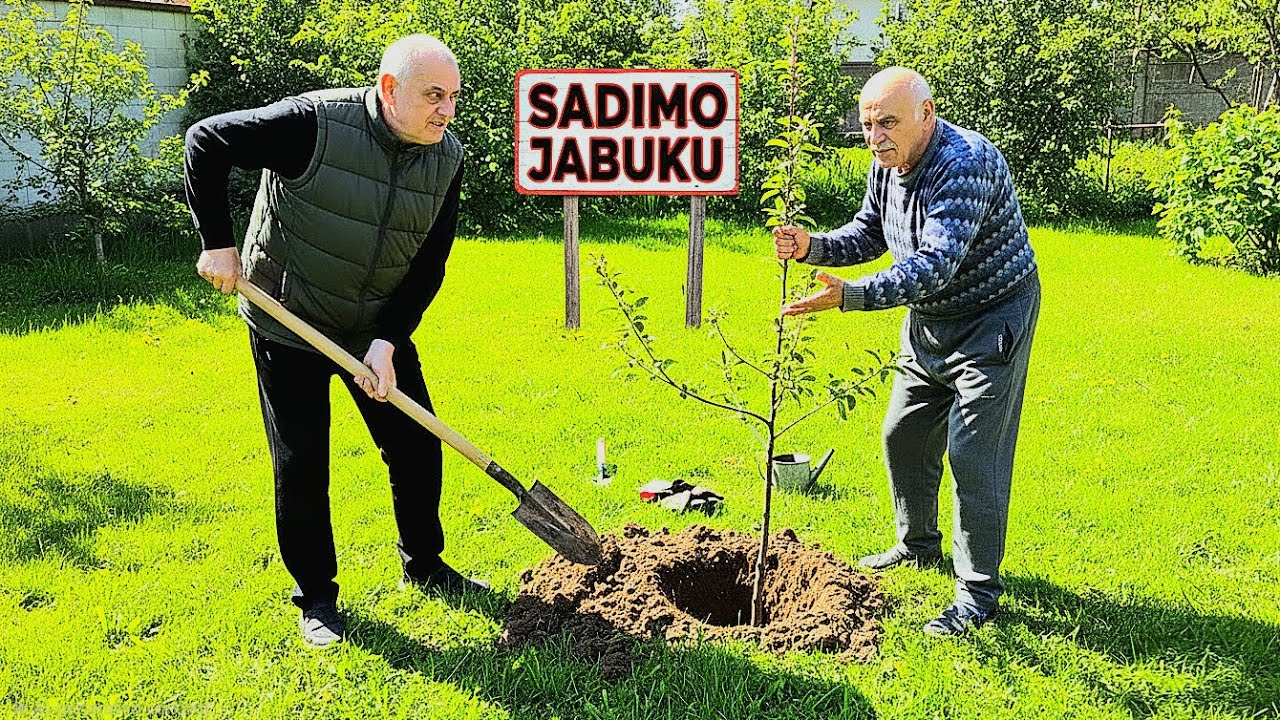 POSVAĐALI SE DOK SADE JABUKU! DRAGI POTEGO AŠOV! *besan*