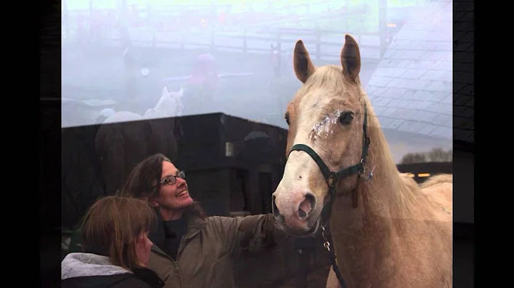 ZENO ARRIVES IN ENGLAND