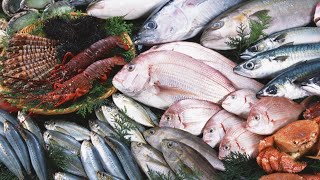 Best Seafood Market (Everything is Fresh)