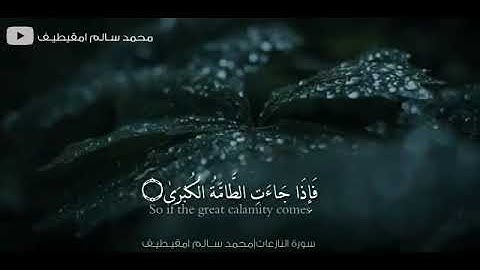 أوآخر سورة النازعات  بصوت / محمد سالم امقيطيف