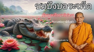 ชมบึงบอระเพ็ด เรียนระลึกชาติต่างๆ หลวงพ่อฤาษีลิงดำหรือพระราชพรหมยาน ธรรมะพระอรหันต์ ธรรมะคลายทุกข์