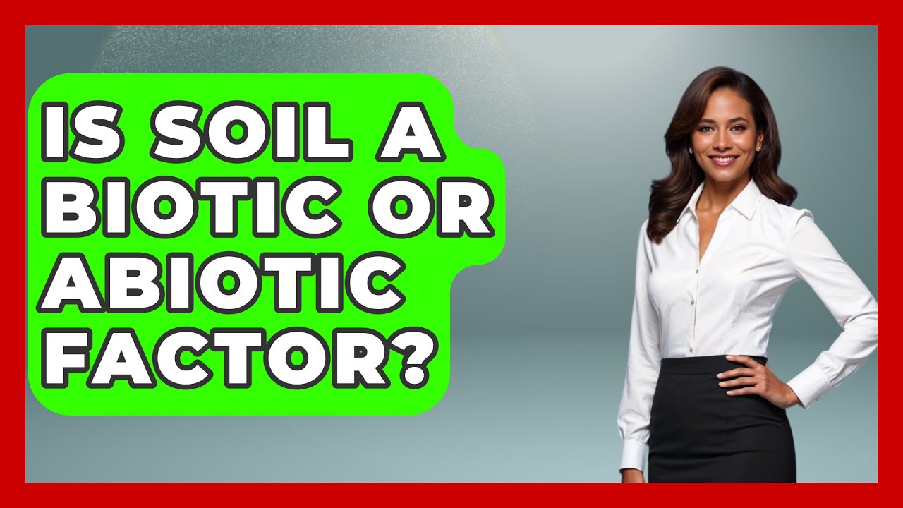 Is Soil A Biotic Or Abiotic Factor? - The Plant Enthusiast