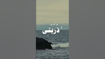 القارئ محمد صديق المنشاوي #viralvideo #اكسبلور #القرآن_الكريم #ايات_قرانيه_قصيره #راحة_نفسية #قرآن