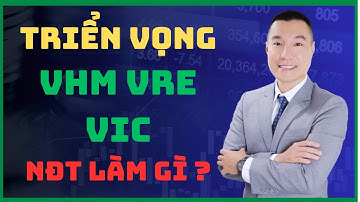TRIỂN VỌNG NHÓM CỔ PHIẾU VINGROUP THƠI GIAN TỚI ? VRE VHM VIC