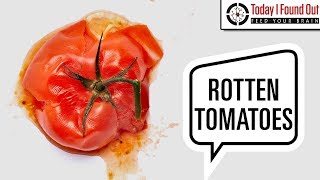 Rotten Ratings: Why Were Tomatoes Thrown At Bad Actors? in 2023
