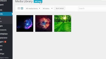 How to use The Media Library in WordPress