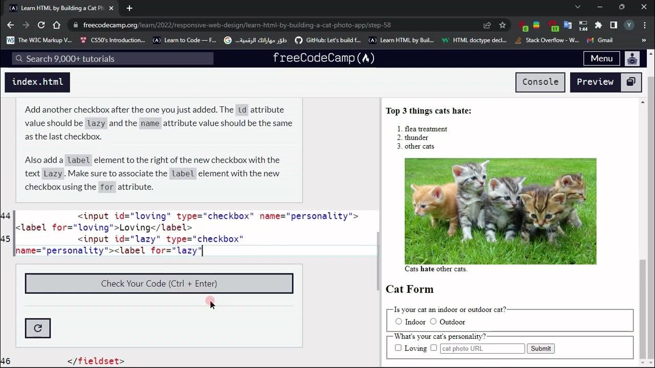 Learn html by building a cat photo app step 58 youtube
